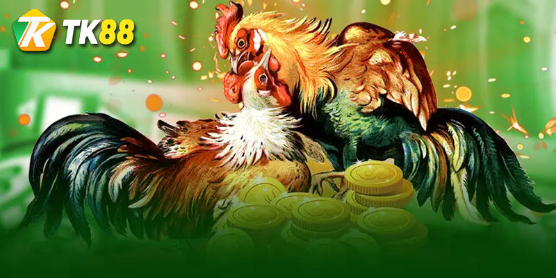 Đá gà cựa sắt Tk88 - Game cá cược hàng đầu Việt Nam 2 giới thiệu đá gà cựa sắt là gì